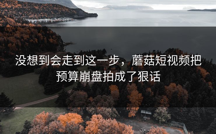 没想到会走到这一步，蘑菇短视频把预算崩盘拍成了狠话