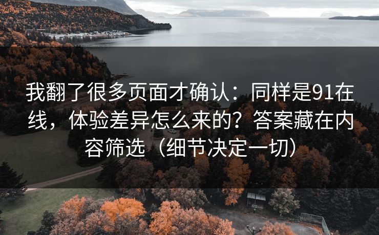 我翻了很多页面才确认：同样是91在线，体验差异怎么来的？答案藏在内容筛选（细节决定一切）