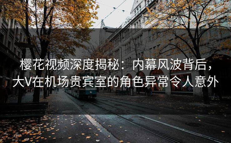 樱花视频深度揭秘：内幕风波背后，大V在机场贵宾室的角色异常令人意外